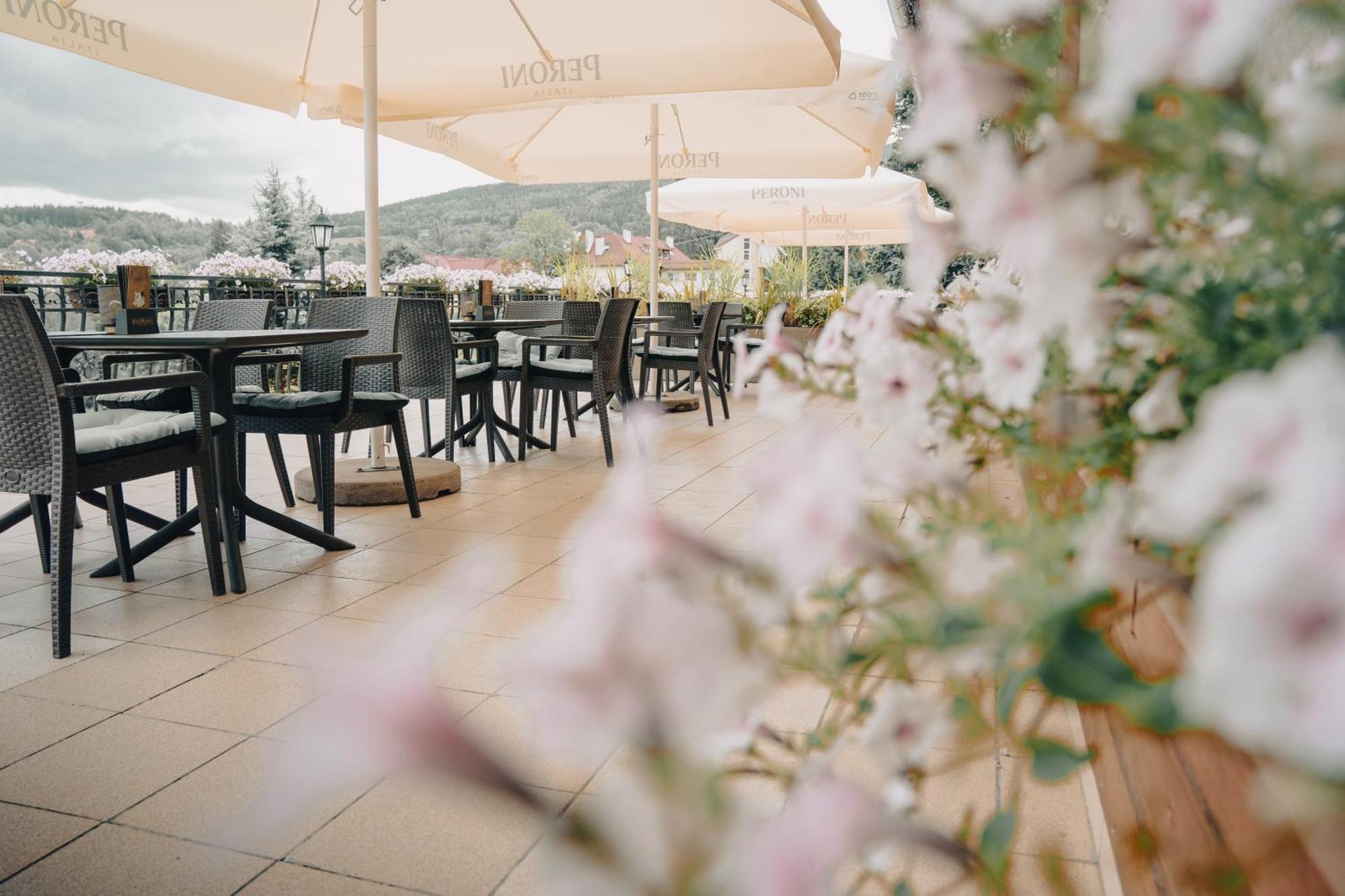 Hotel Le Mont Medical & Spa Świeradów-Zdrój Dış mekan fotoğraf